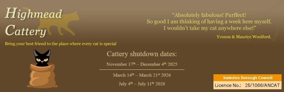 Highmead Cattery - Bring your best friend to the place where every cat is special