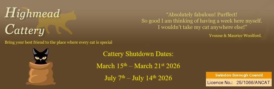 Highmead Cattery - Bring your best friend to the place where evry cat is special Highmead Cattery - Bring your best friend to the place where every cat is special